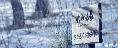 火山鳴泉 蘇打水官網